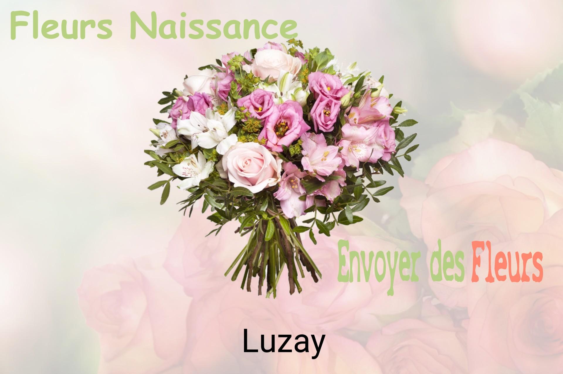 Bouquet de fleurs de naissance livré à Luzay