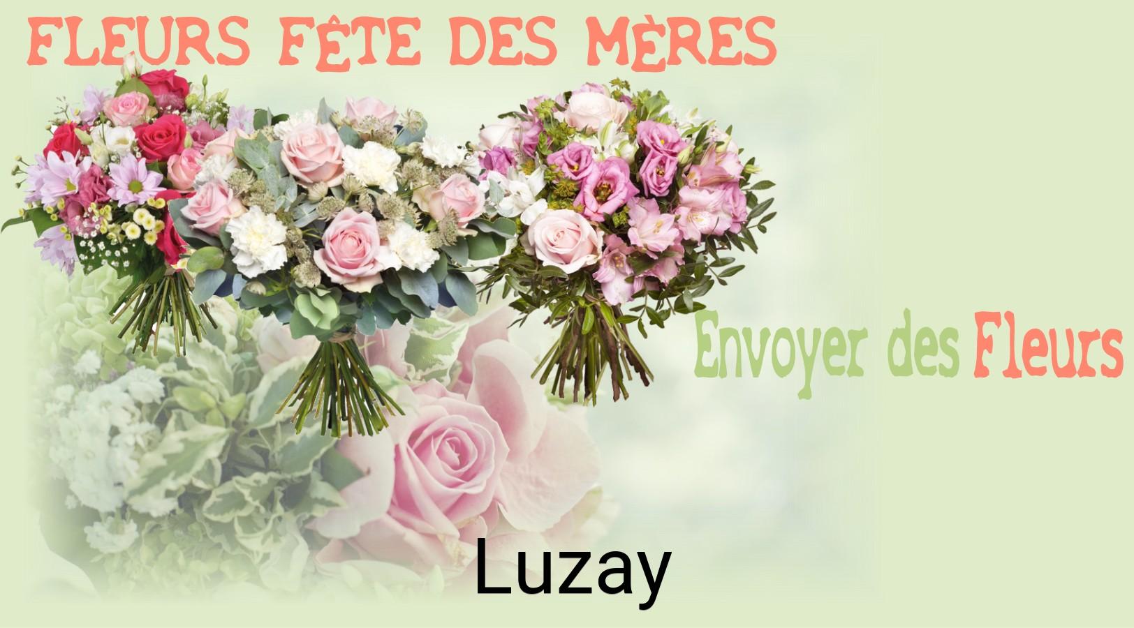 Bouquet de Fête des Mères livré à Luzay